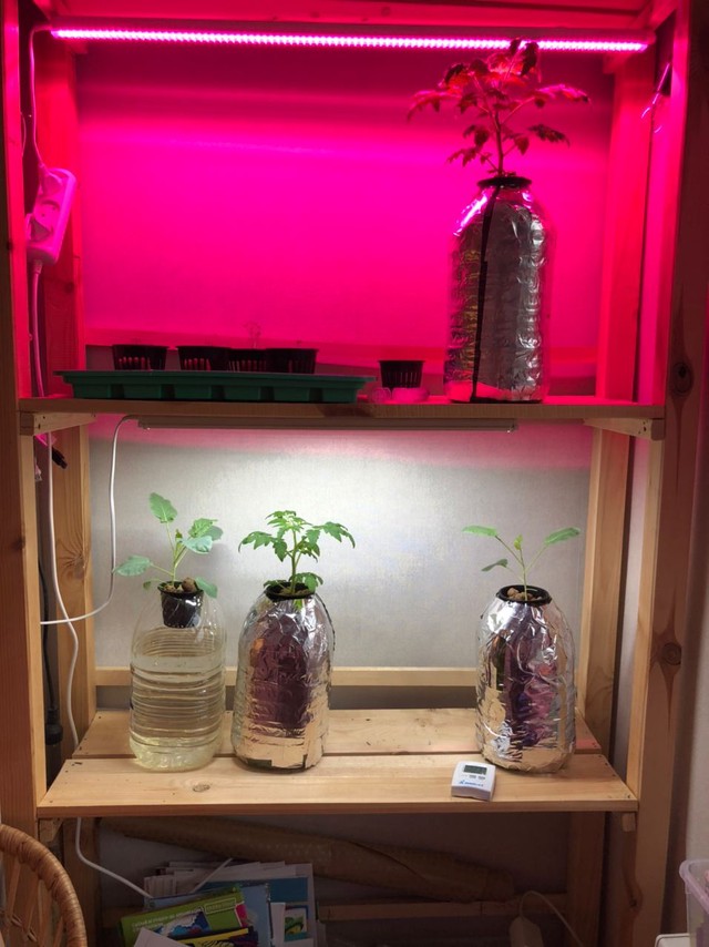 Самосборный стеллаж для выращивания