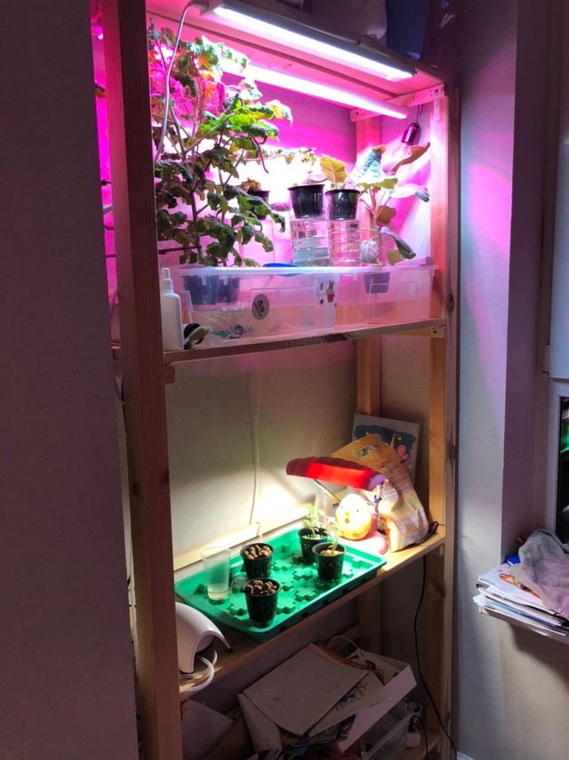 Самосборный стеллаж для выращивания