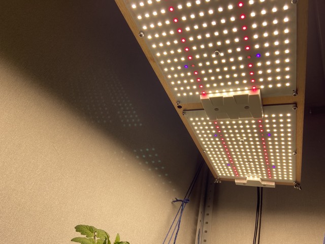 лампа снизу