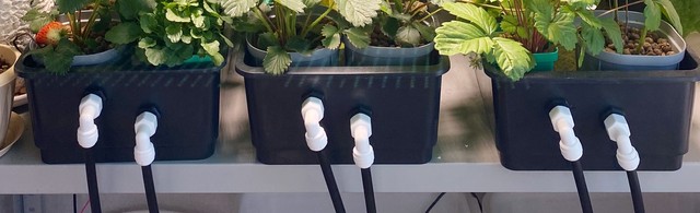 фотка поддонов