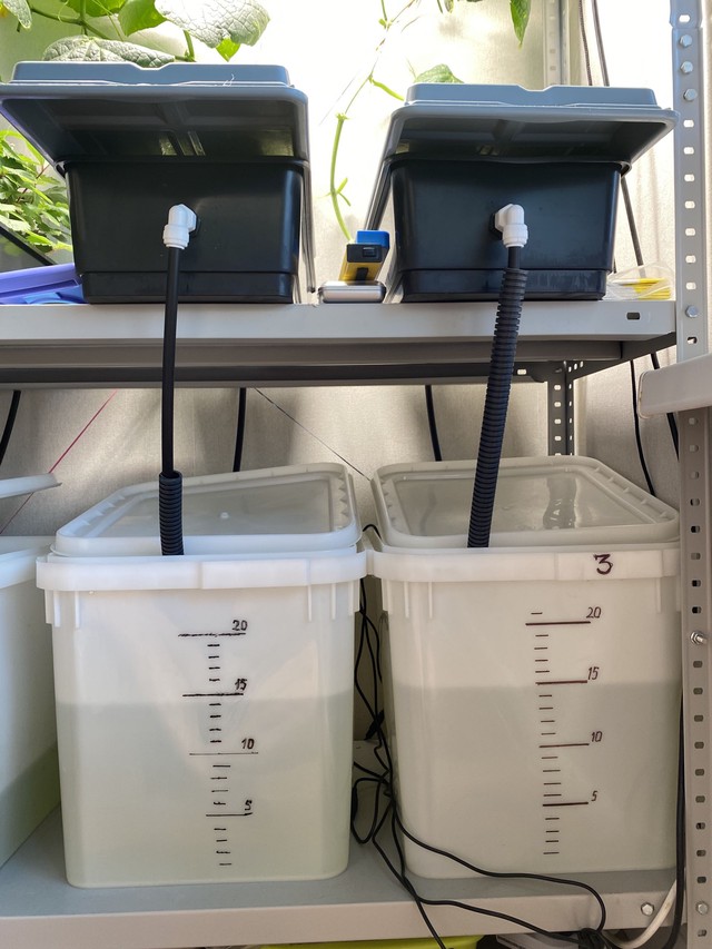 Замер воды через неделю